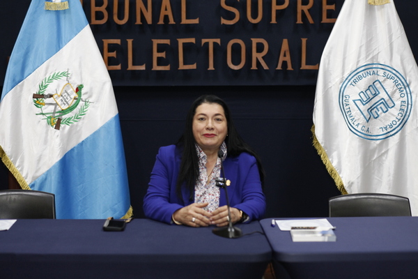Suplentes desconocen a Alfaro como presidente del TSE | Nuestro Diario