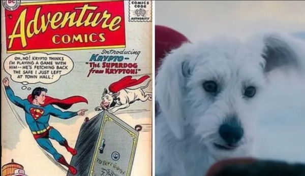 Krypto: ¿Cuál es el verdadero origen del perro de Superman? | Nuestro ...